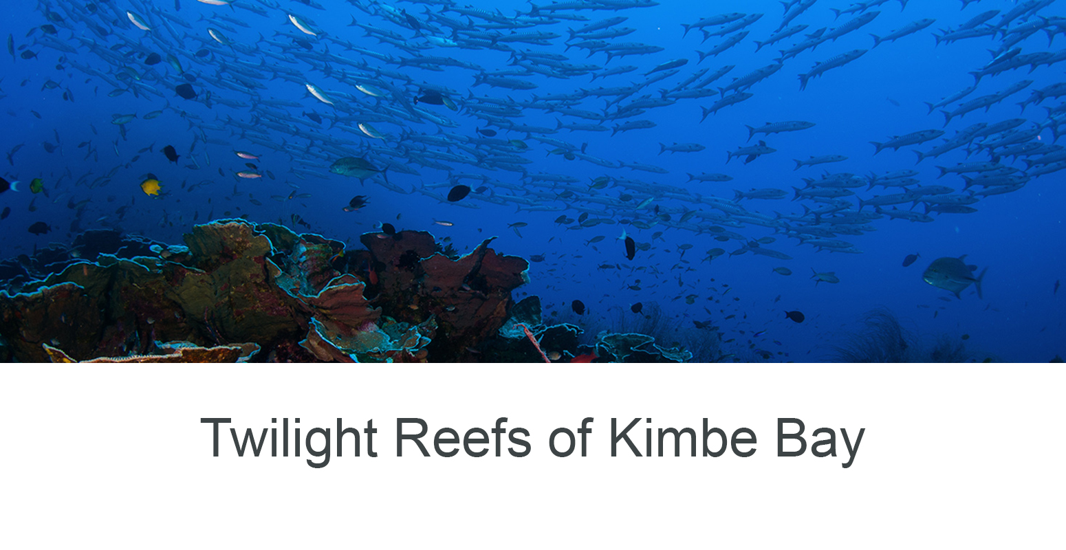 Twilight Zone Reefs of Kimbe Bay